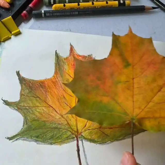 Рилс @lisilart